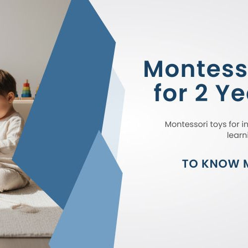 Montessori Toys for 2 Year Olds