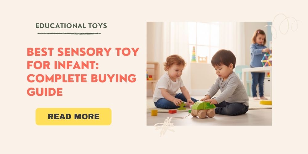 Best Sensory Toy for Infant: Complete Buying Guide