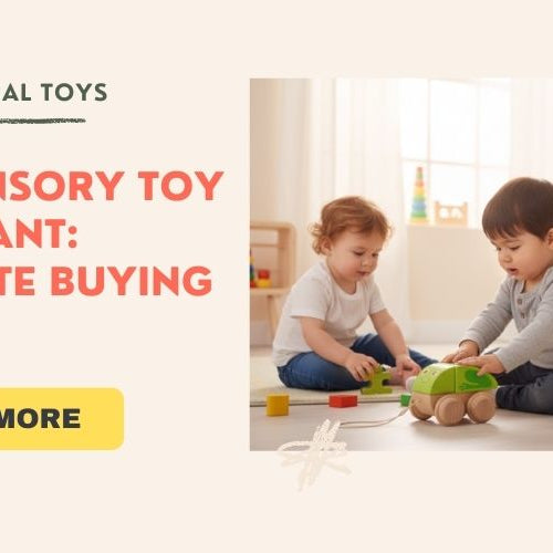 Best Sensory Toy for Infant: Complete Buying Guide