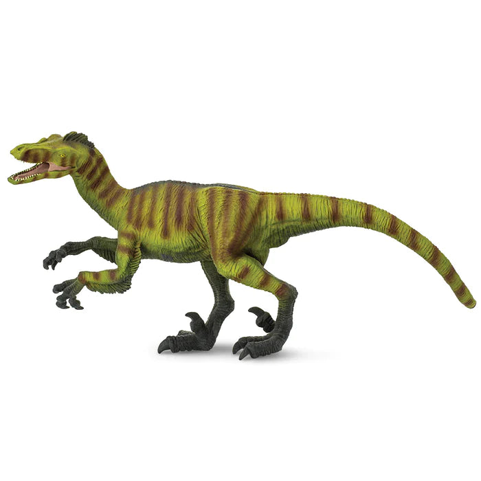 Safari Velociraptor