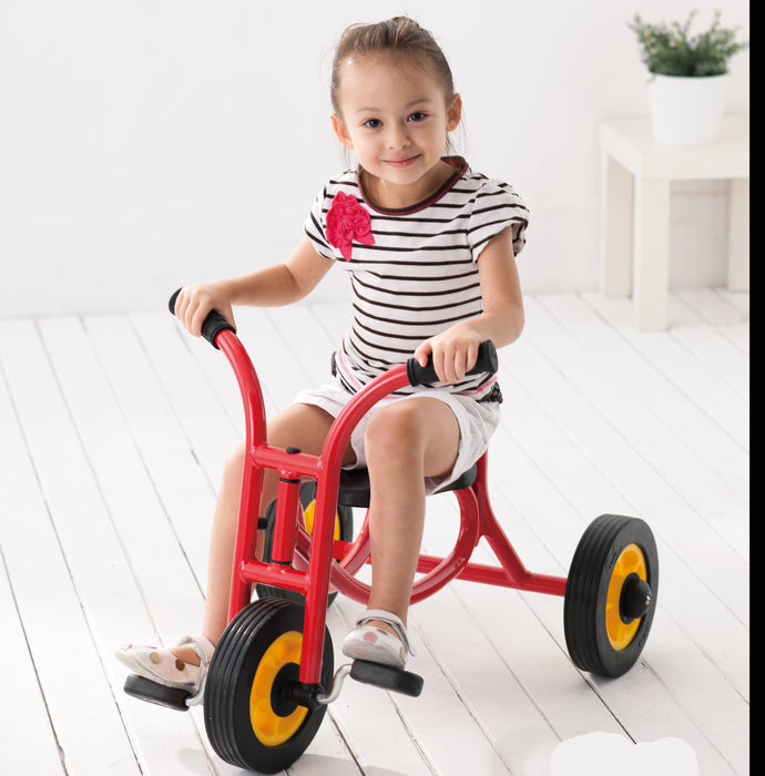 Weplay Trike, Small
