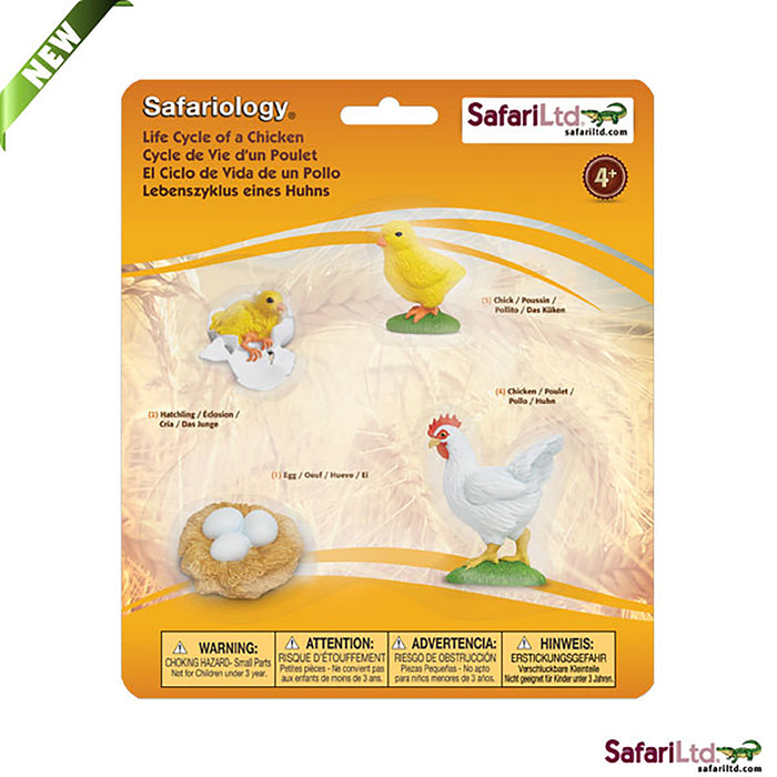 Safari Life Cycle of a Chicken