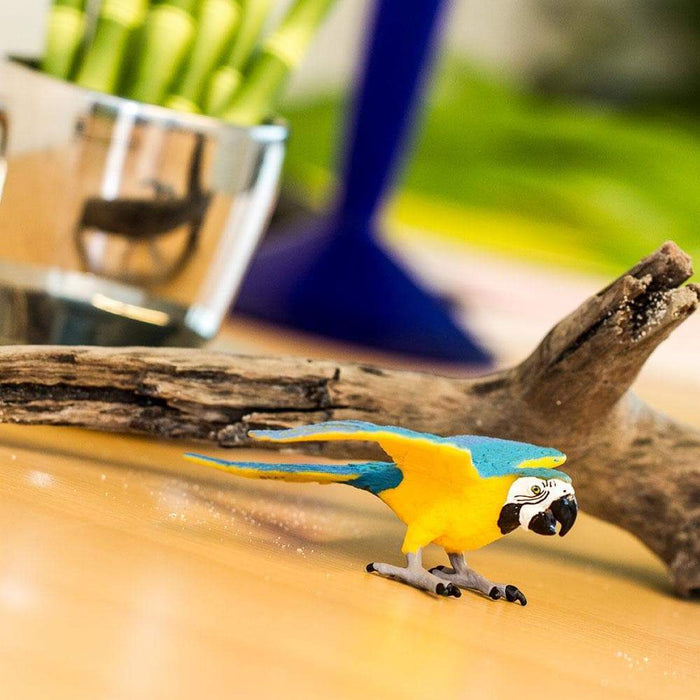 Safari Blue & Gold Macaw